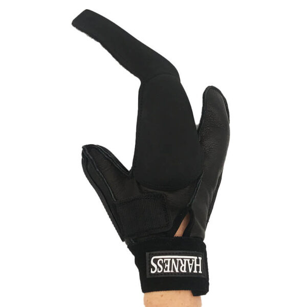 Harness 2 Fingered Racing Glove